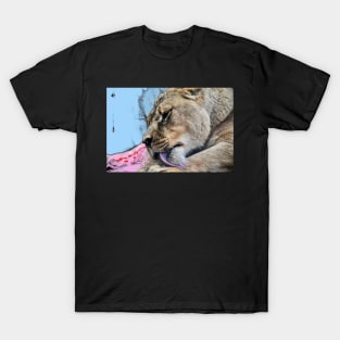 Lion / Swiss Artwork Photography T-Shirt